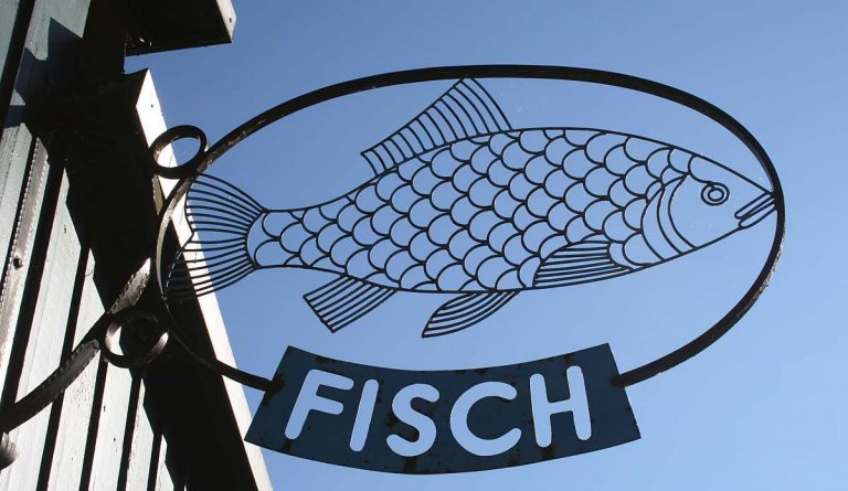 Hier gibt's Fischbrötchen auf die Hand